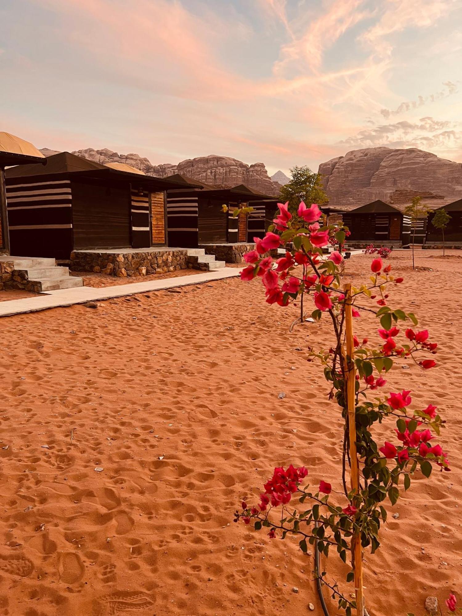 Revan Rum Luxury Camp Wadi Rum Exterior photo
