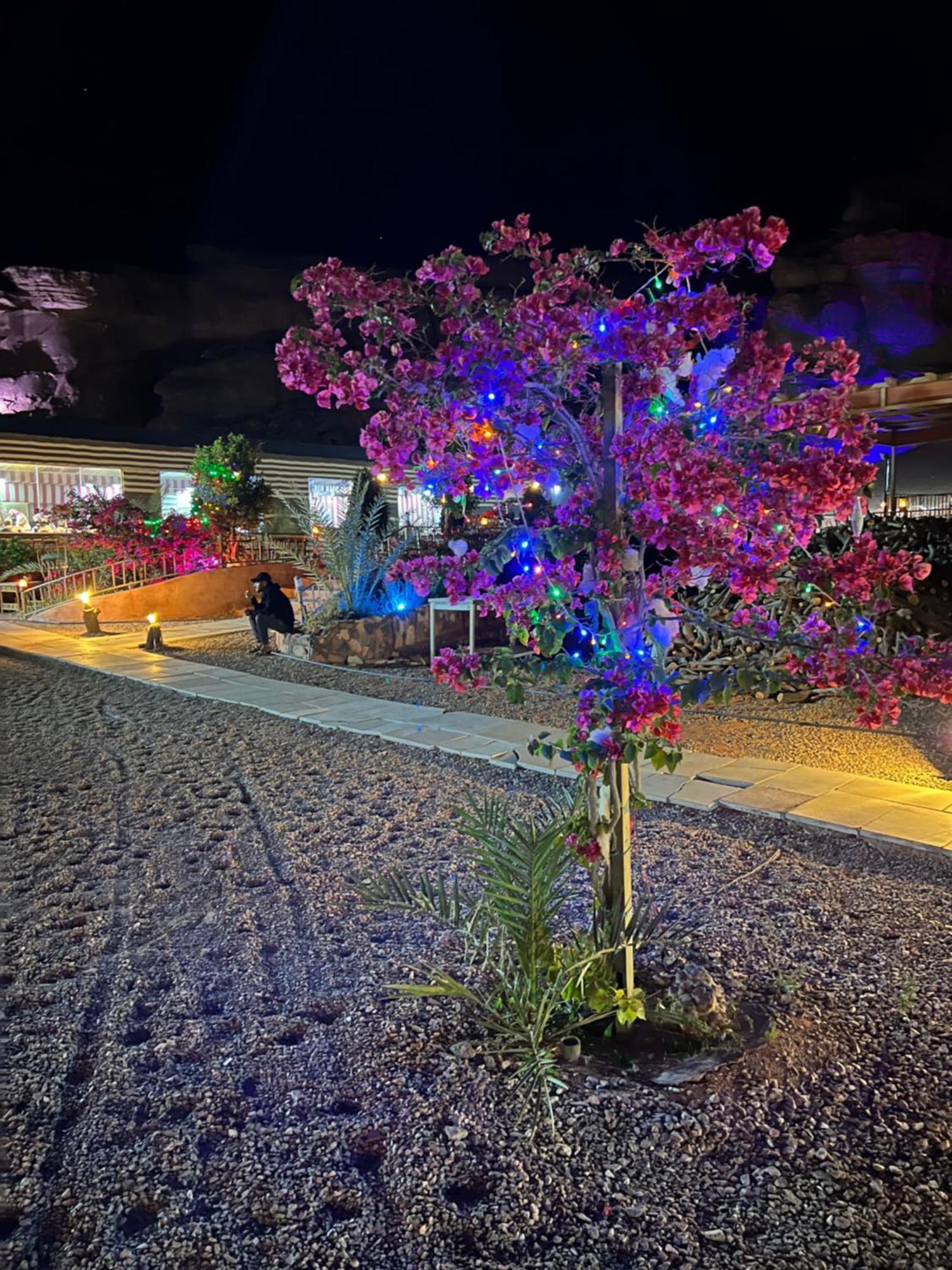 Revan Rum Luxury Camp Wadi Rum Exterior photo